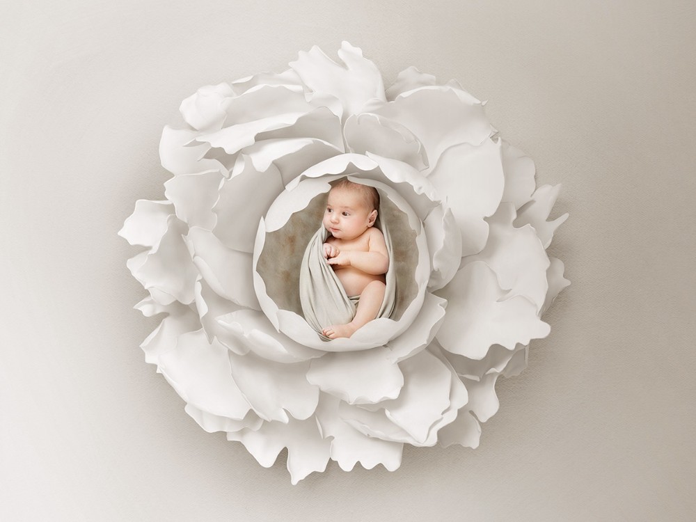 Bespoke fine art newborn portrait of a baby resting inside an elegant white flower setting, photographed during a newborn session near Colchester, Essex.